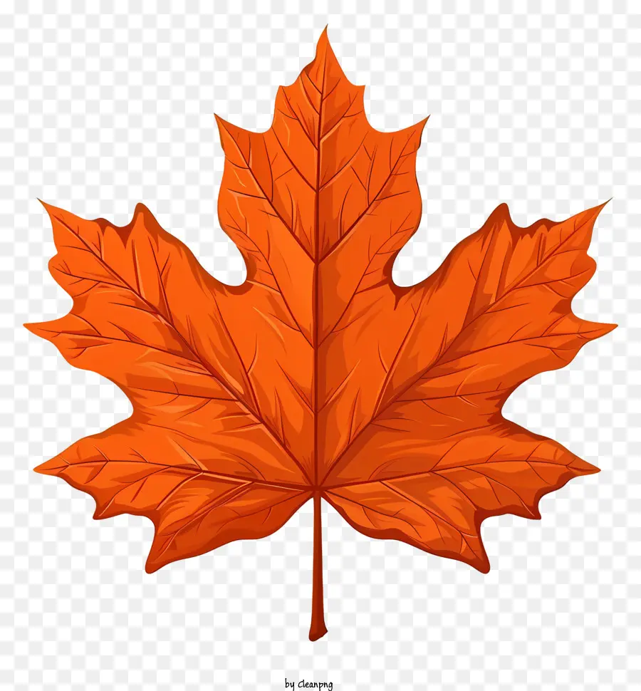 Maple Leaf，Folhagem De Outono PNG