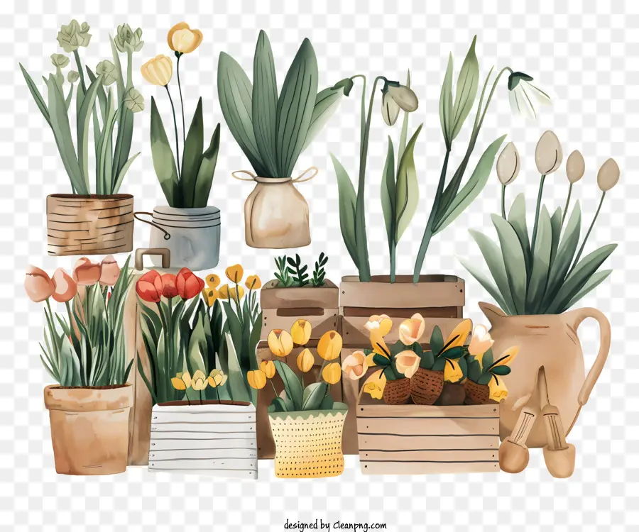 Mercado De Primavera，Vasos De Plantas PNG