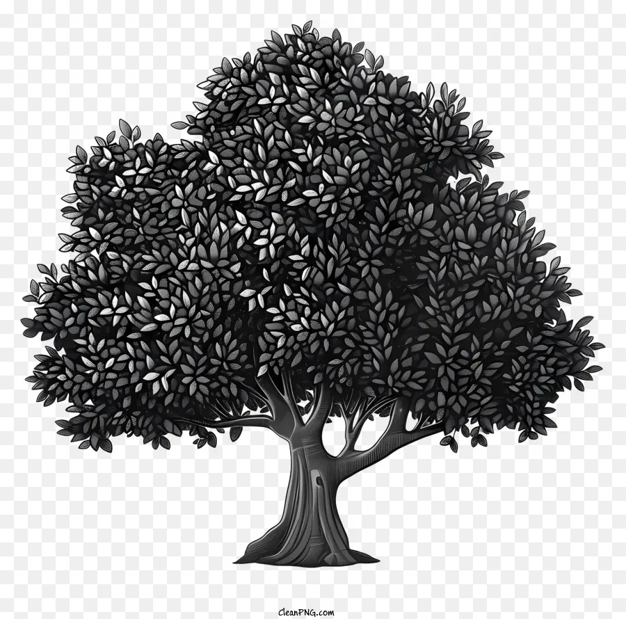 árvore Silhueta，árvore PNG