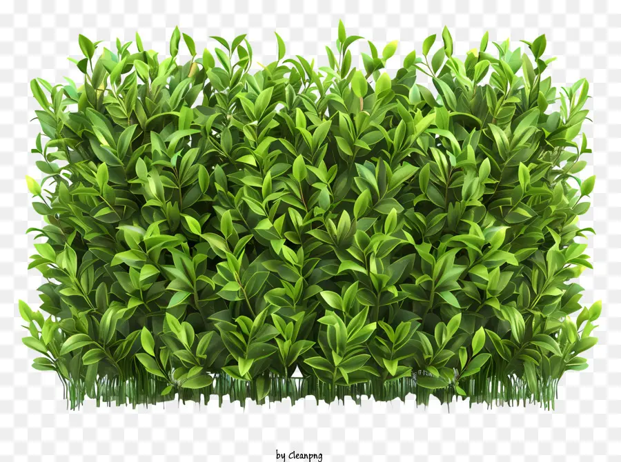 Hedge，Grades Verdes PNG
