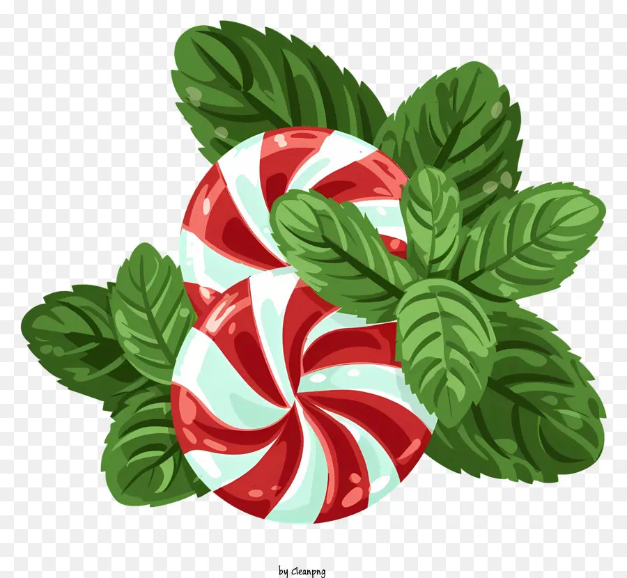 Hortelã Pimenta，Candy Cane PNG