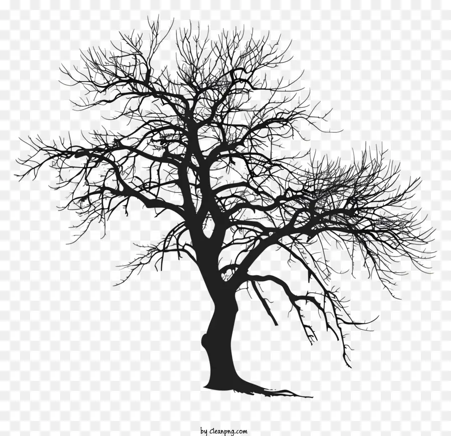 árvore Silhueta，árvore Morta PNG