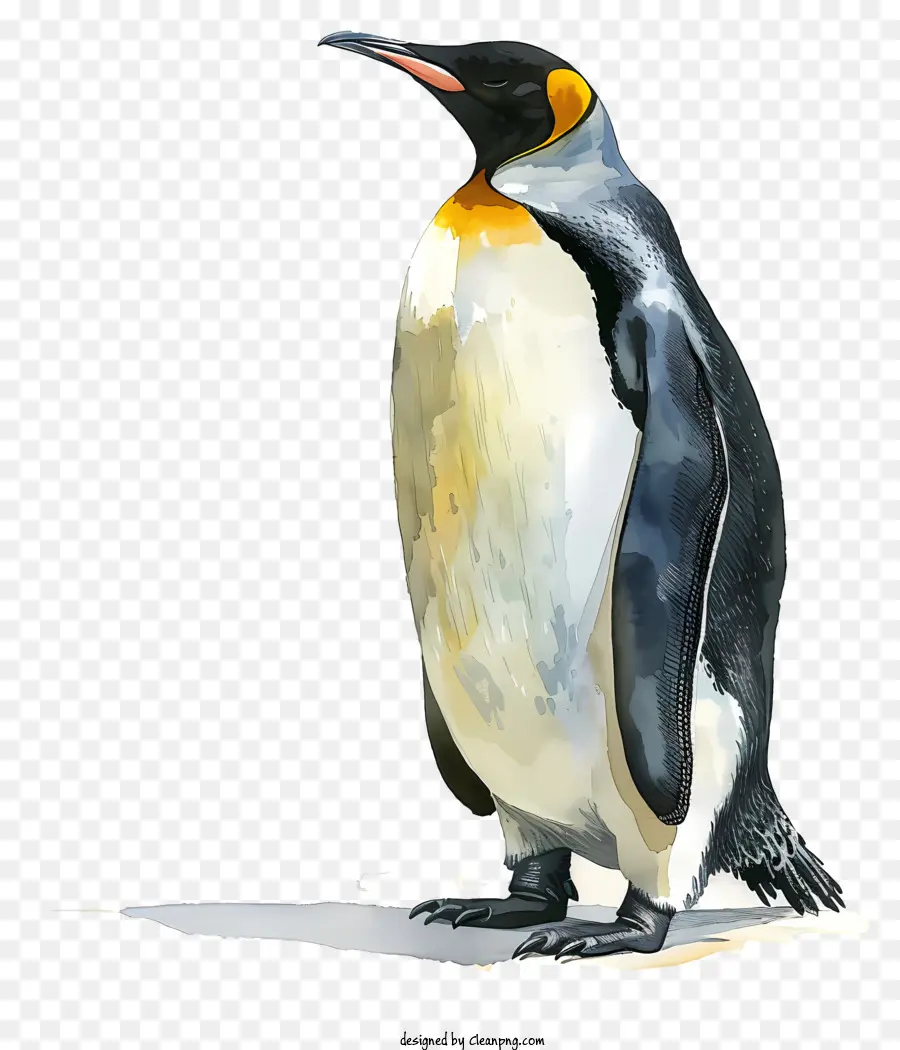 Mundo Do Pinguim Dia，Pintura Em Aquarela PNG