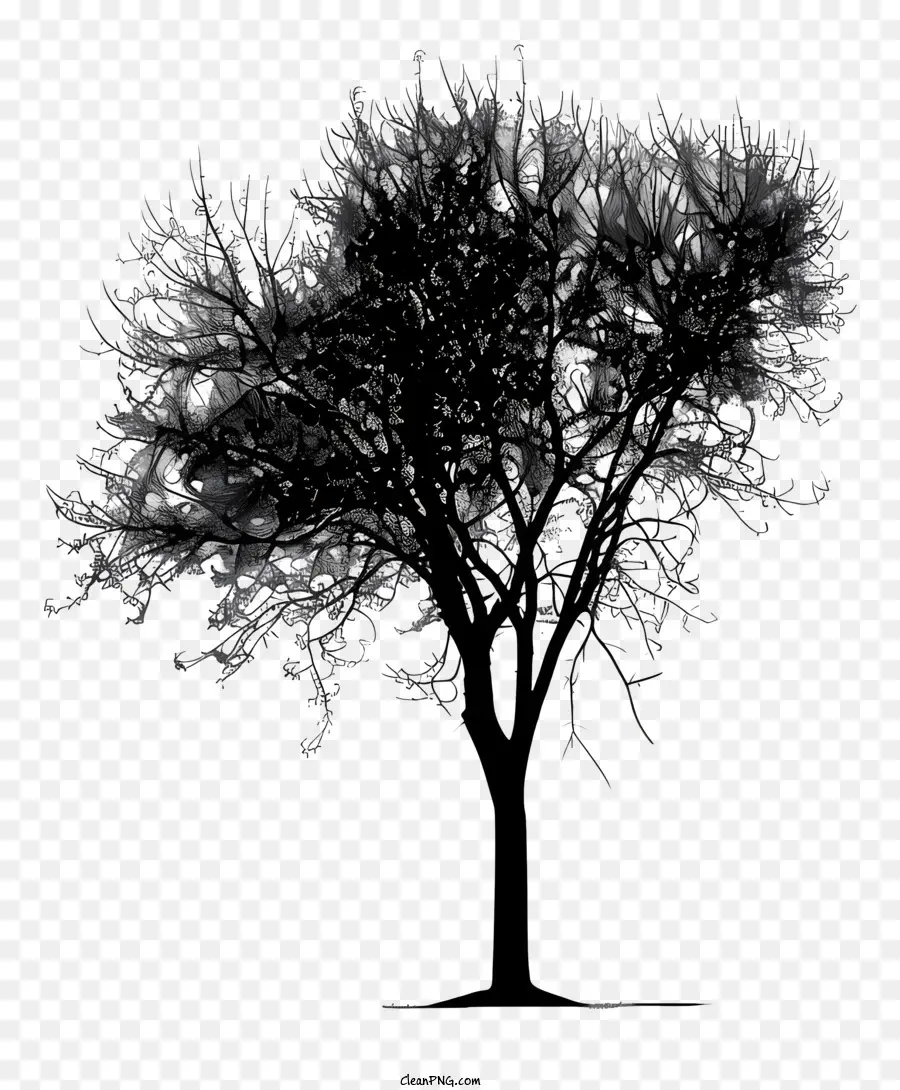árvore Silhueta，árvore Solitária PNG