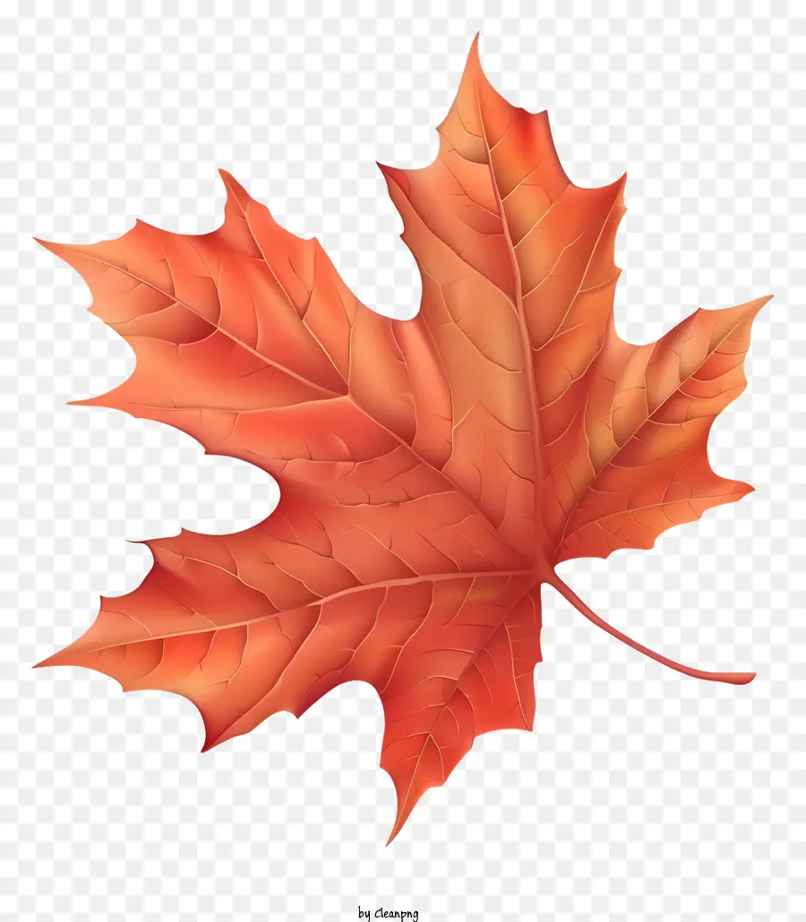 Maple Leaf，Folha Vermelha PNG