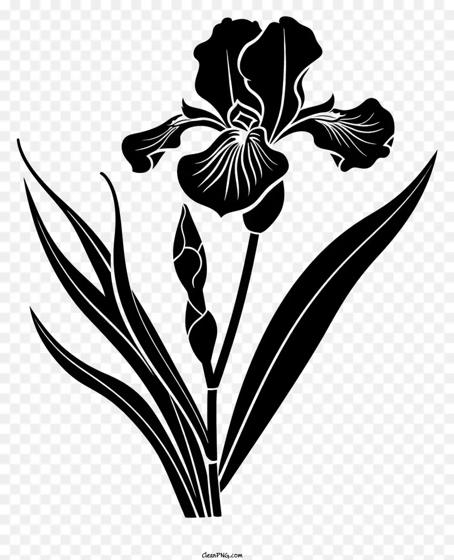 Flor Silhueta，Flor De Desenho PNG