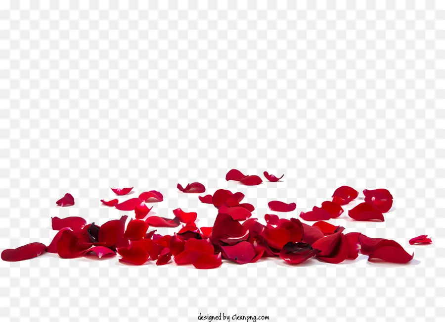Rosas，Pétalas De Rosa Vermelha PNG