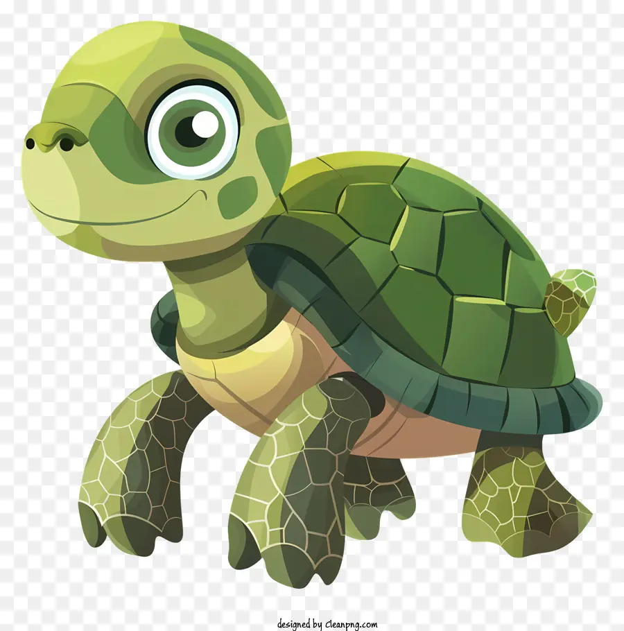 Cartoon Tartaruga，Turtle PNG