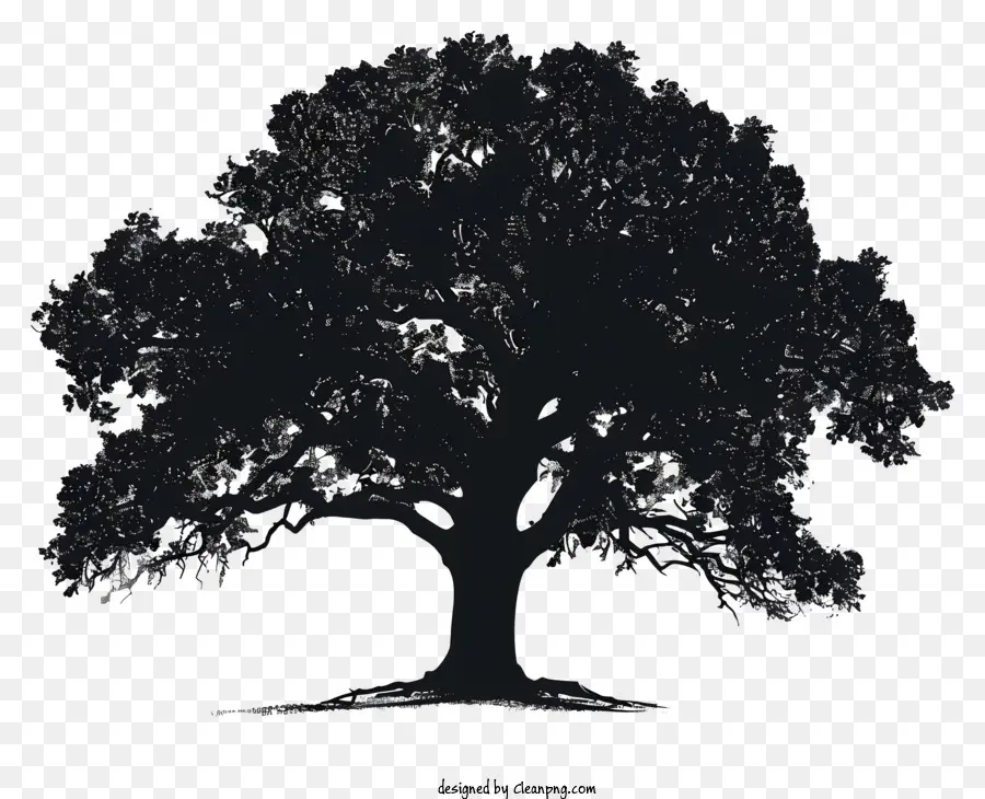 árvore Silhueta，Oak Tree PNG