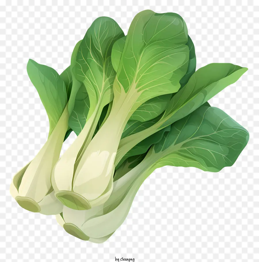 Bok Choy，Repolho PNG