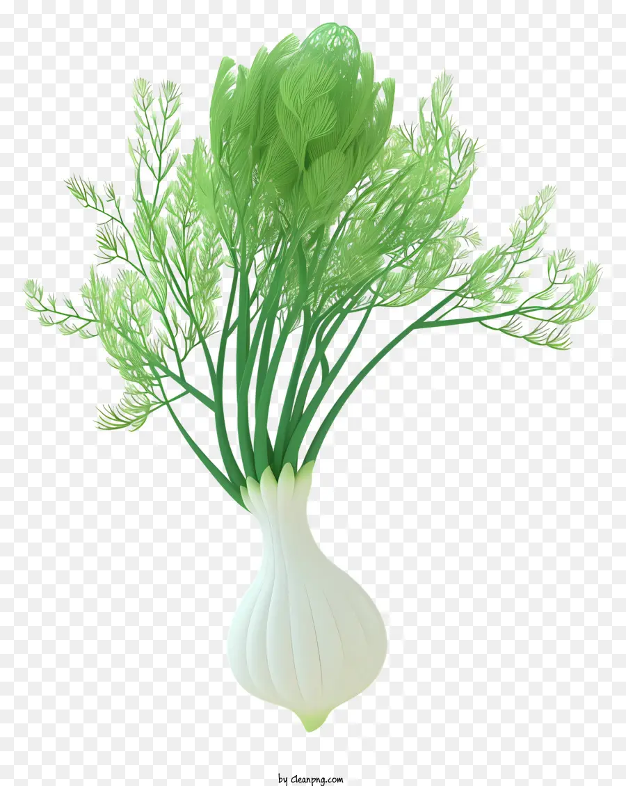 Funcho，Verde PNG