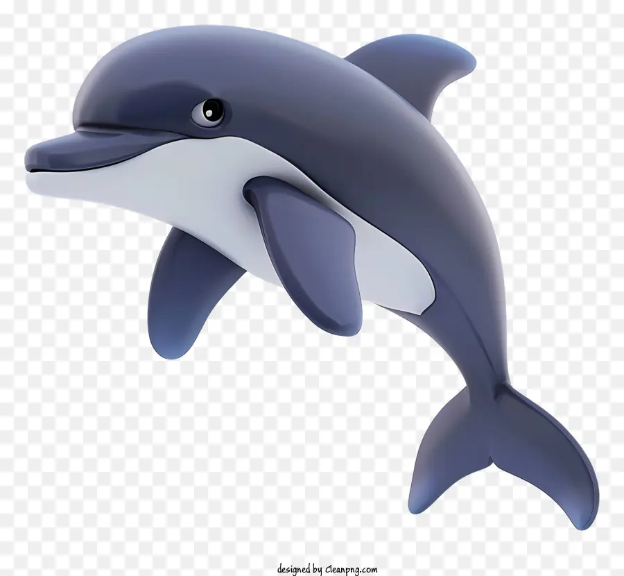 Dolphin，Oceano PNG