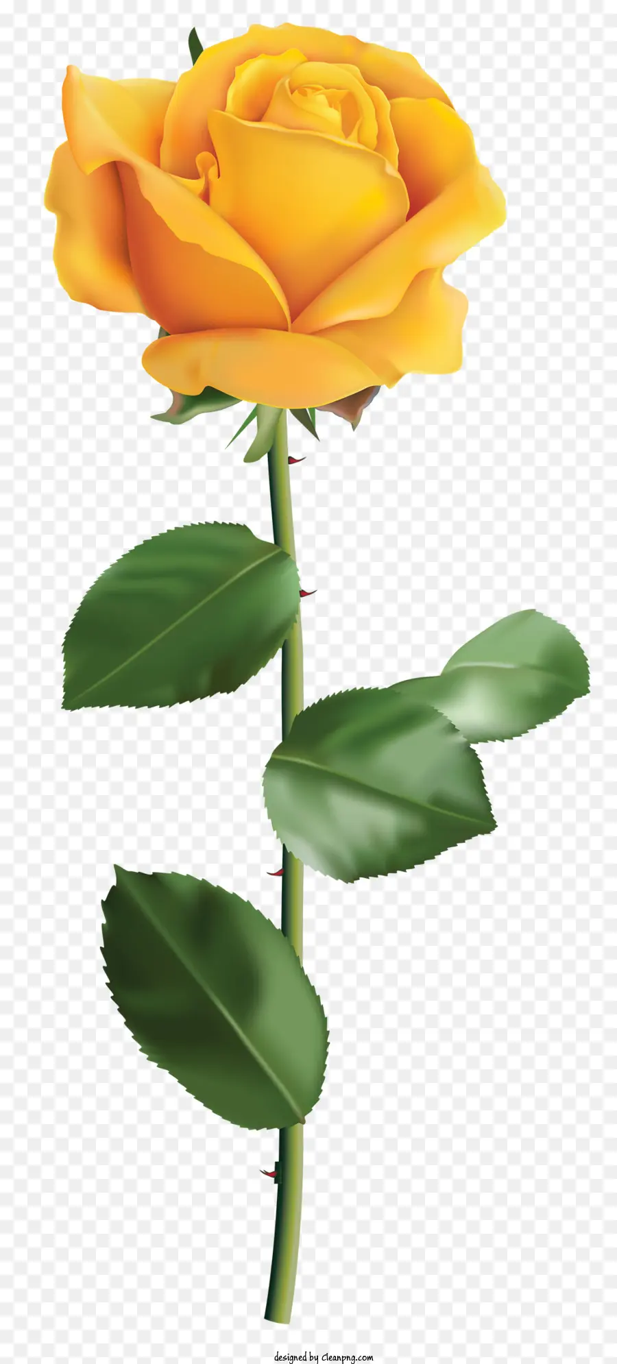 Rosas，Rosa Amarela PNG