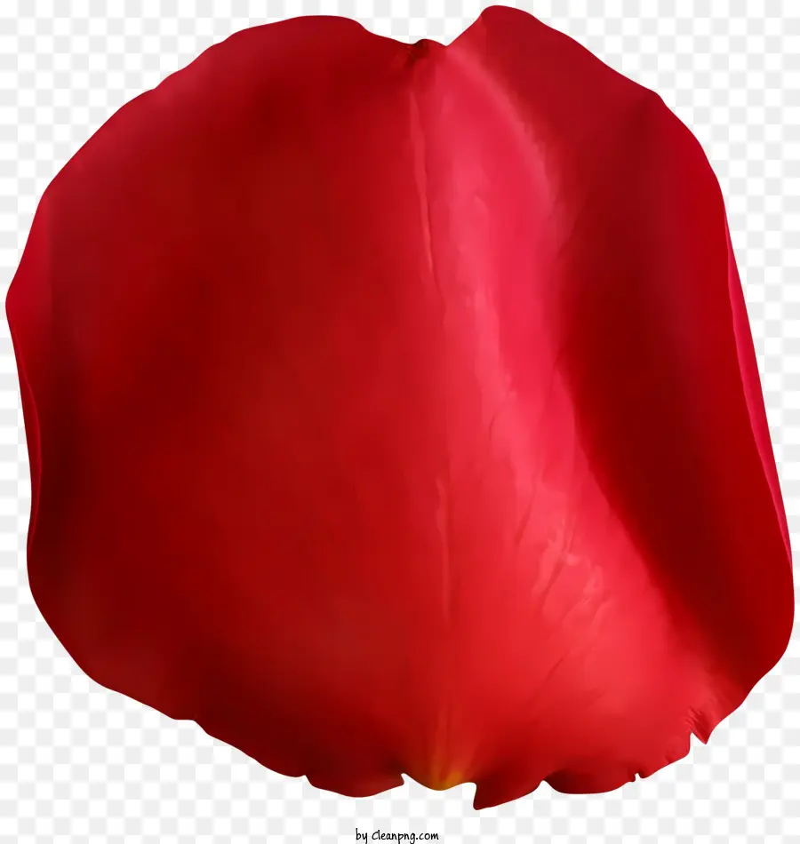 Rosas，Pétala De Rosa Vermelha PNG