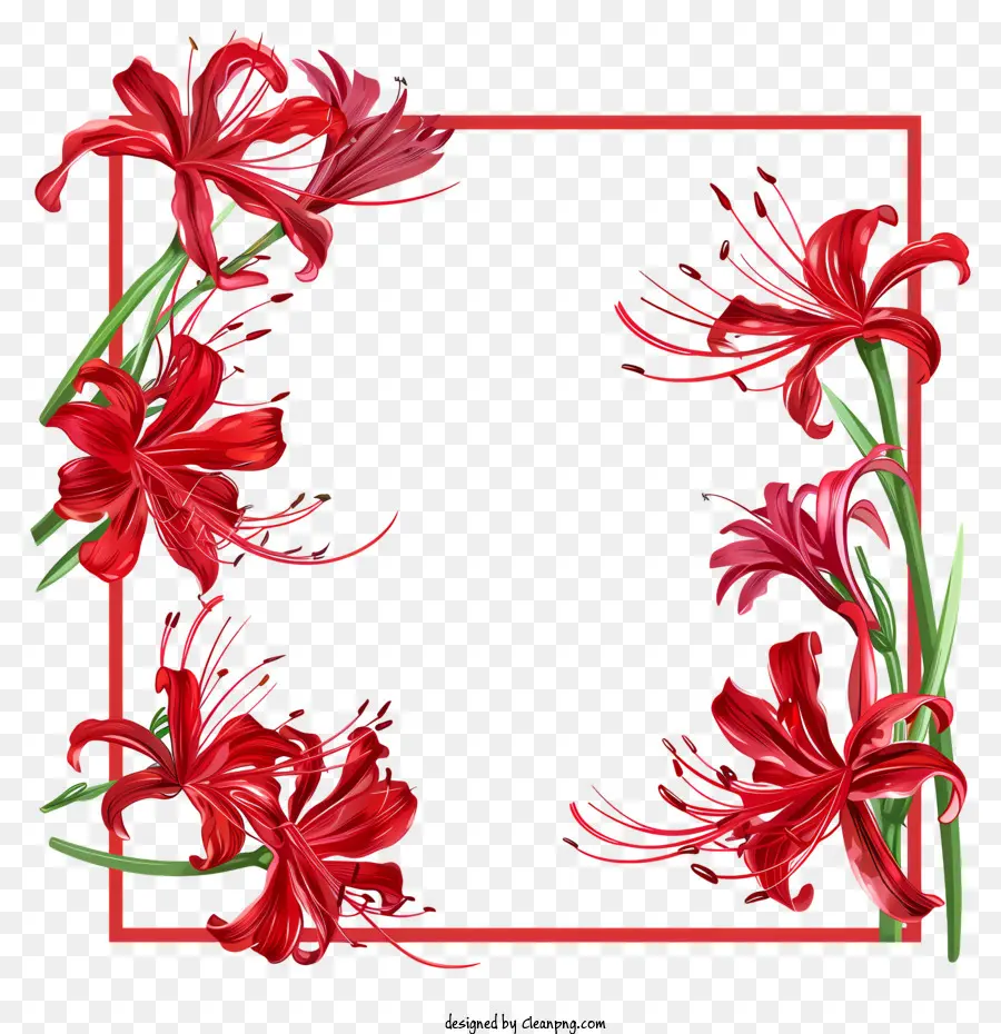 Red Spider Lily，Flor Coroa De Flores PNG