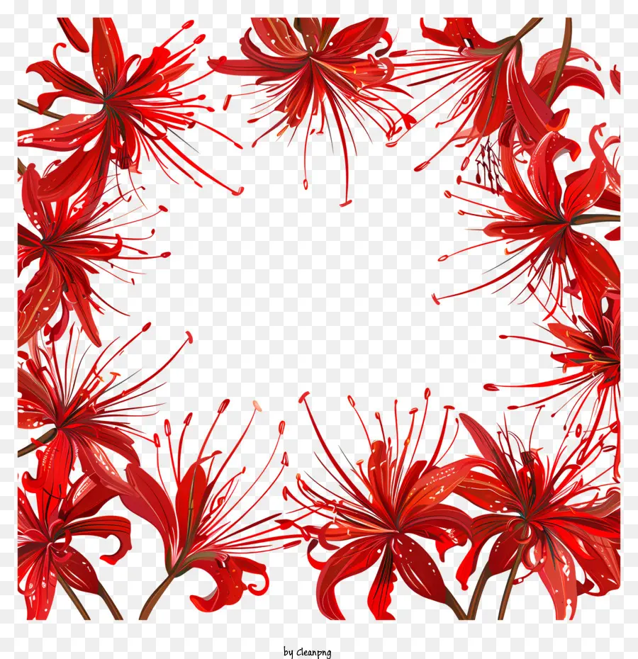 Red Spider Lily，Vermelho Arranjo De Flor PNG