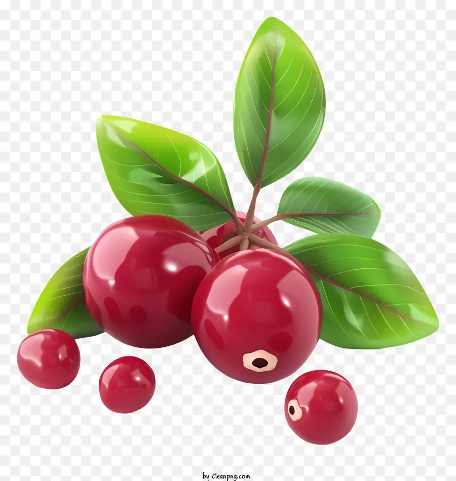 Cranberry，Framboesas PNG