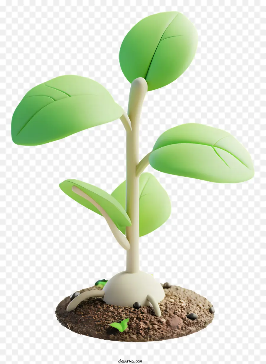 Mudas，Planta Verde PNG