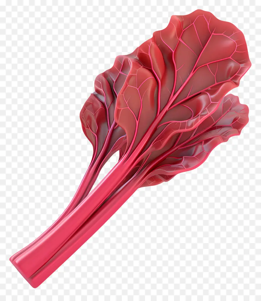 Acelga Vermelha，Vegetal Vermelho PNG