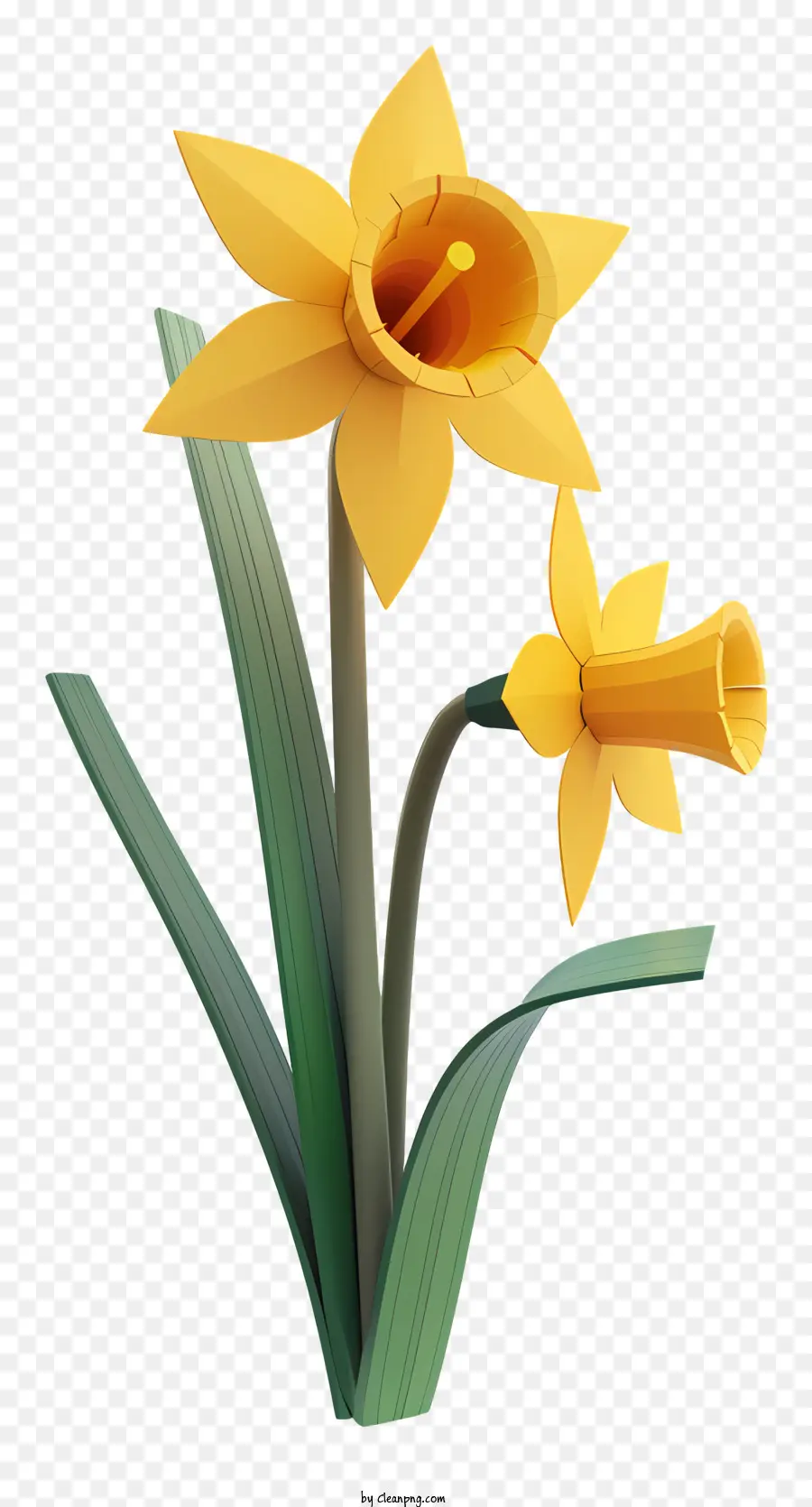 Narciso，Flor Amarela PNG