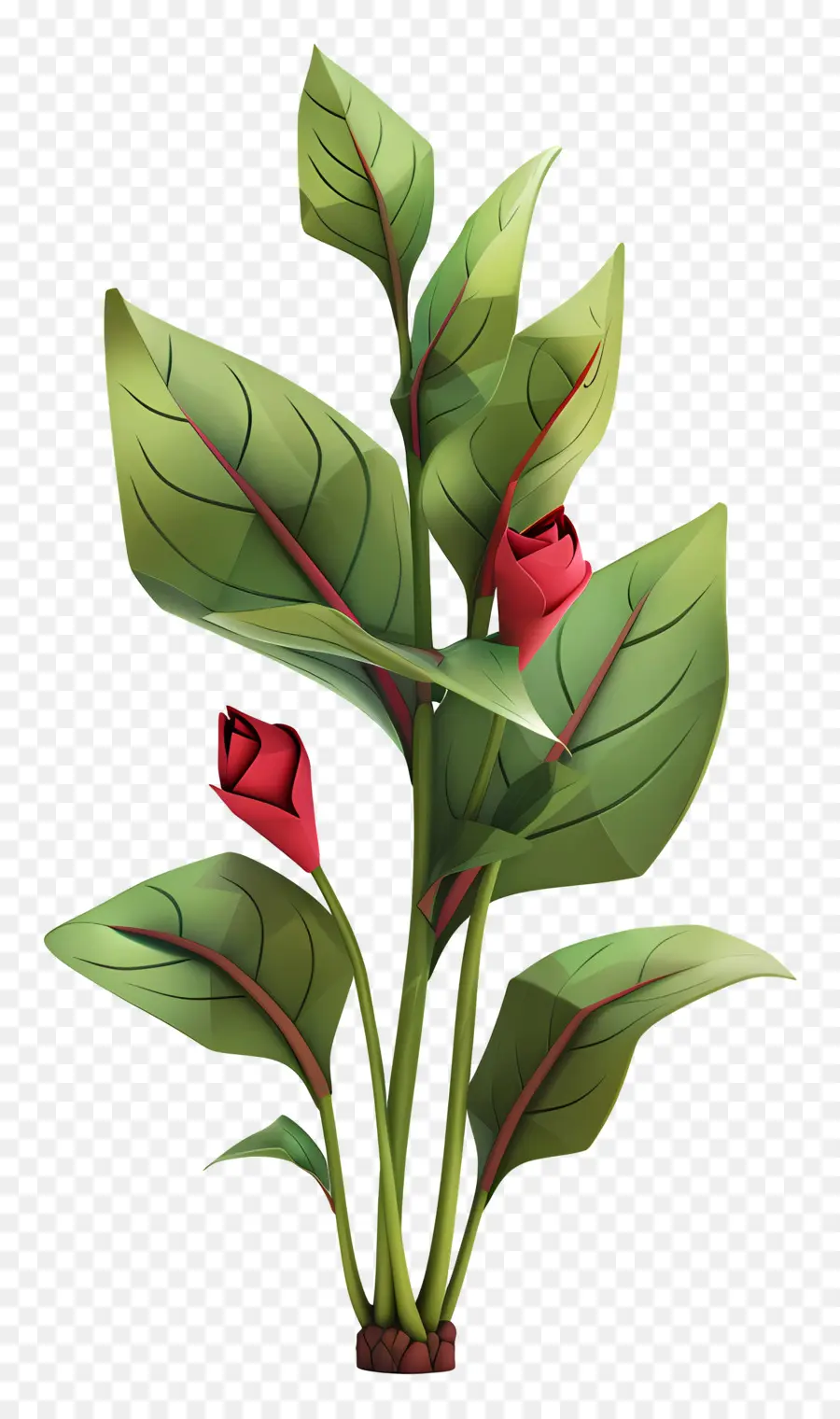 Sorrel，Rosas Vermelhas PNG