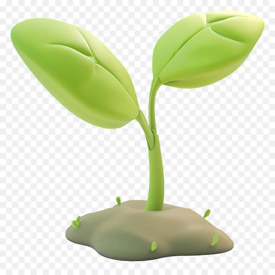 Sprout，Mudas PNG