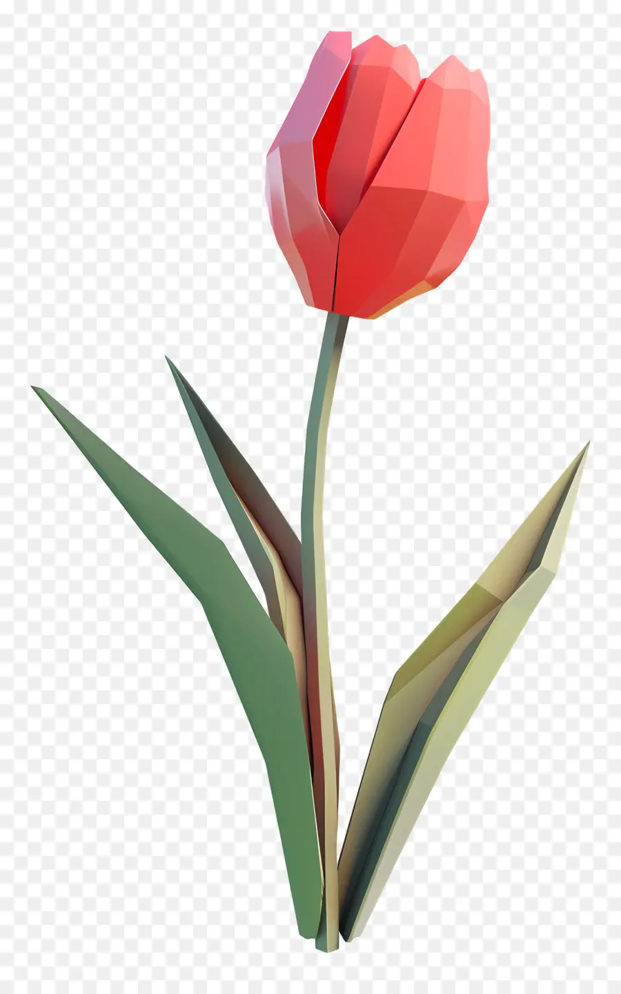 Tulip，Tulipa Vermelha PNG