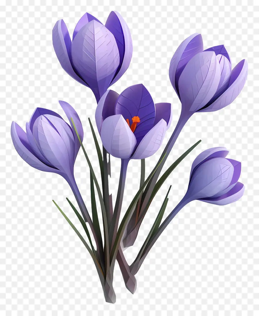 Crocus，Flores Roxas PNG