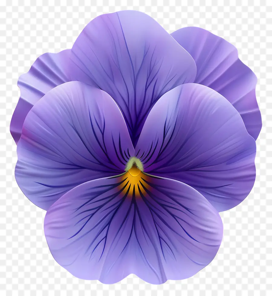 Pansy Flor，Flor Roxa De Pansy PNG