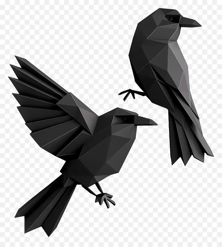 Corvos Negros，Aves PNG