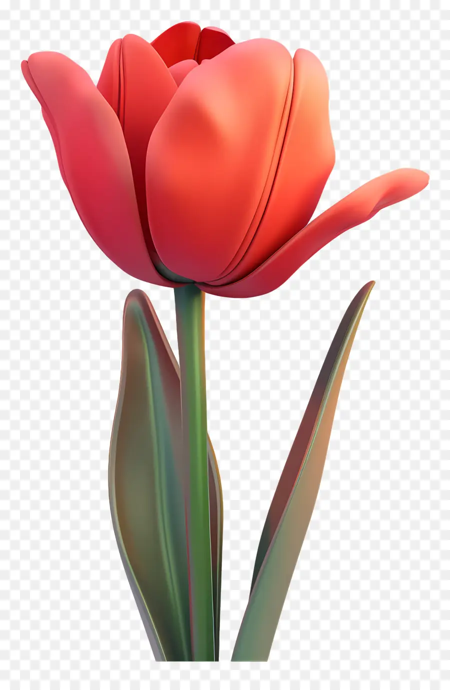 Tulip，Flor PNG