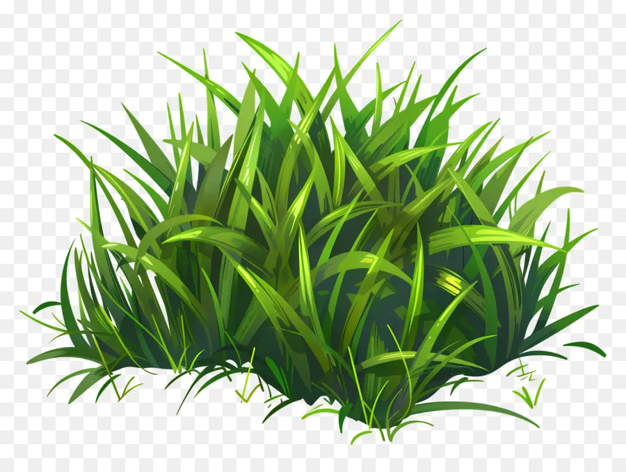 Grama，Plantas Verdes PNG