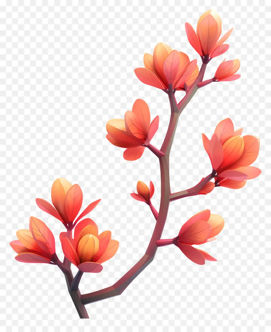 Primavera Gomos，Flores De Laranja PNG