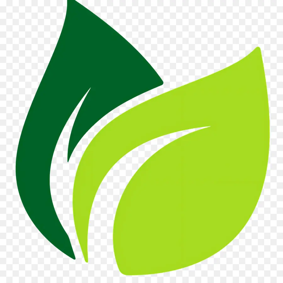 Folha，Energia Verde PNG