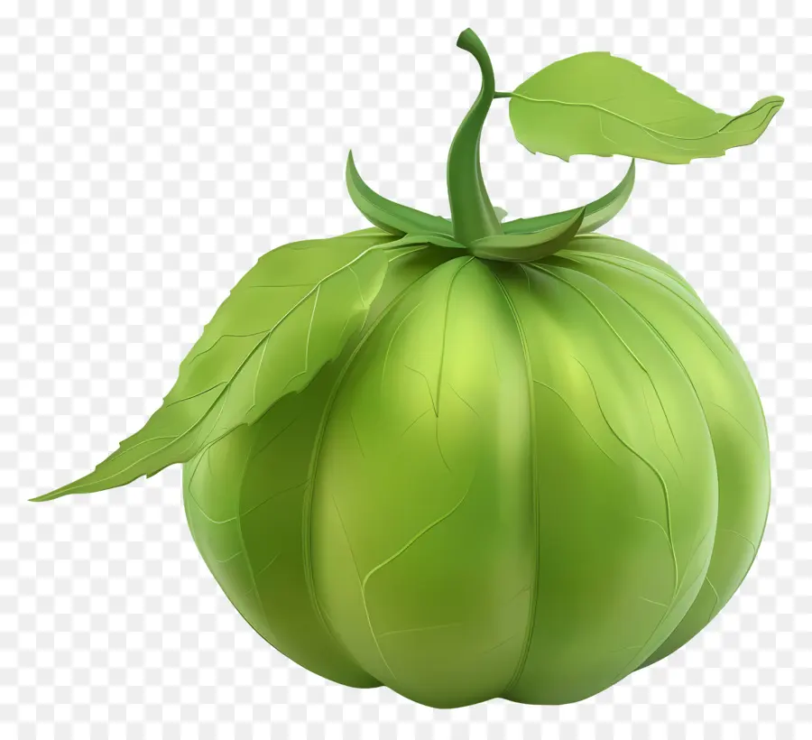 Tomatillo，Alface PNG