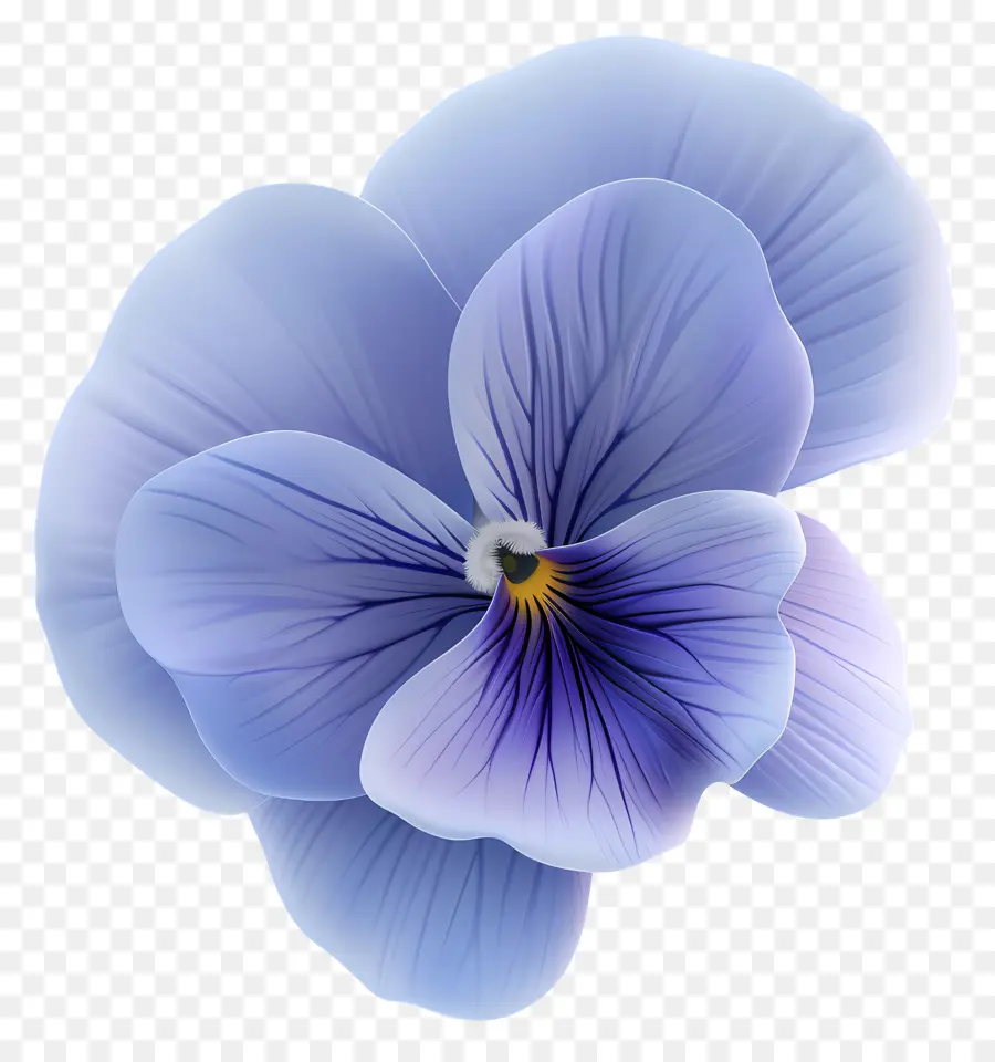 Pansy Flor，Azul Pétalas PNG