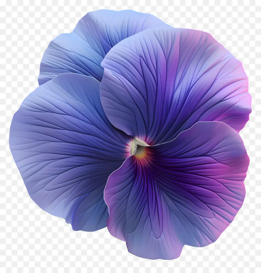 Pansy Flor，Blue Pansy PNG