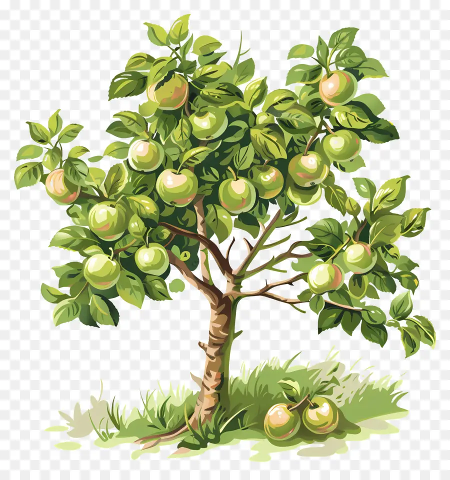 Pomar，árvore De Maçã PNG