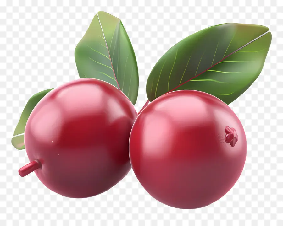 Cranberry，Fruta Madura PNG