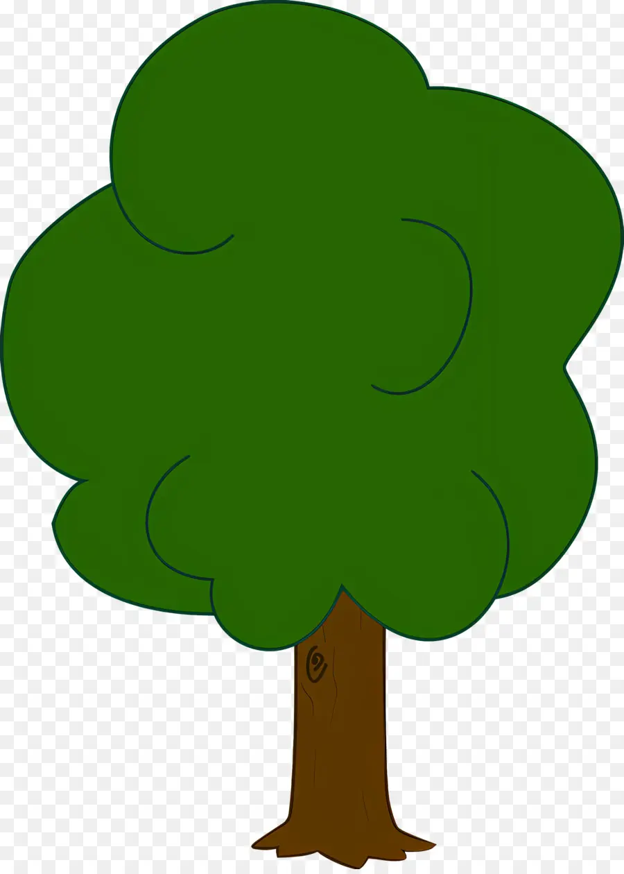 Folha，árvore Verde PNG