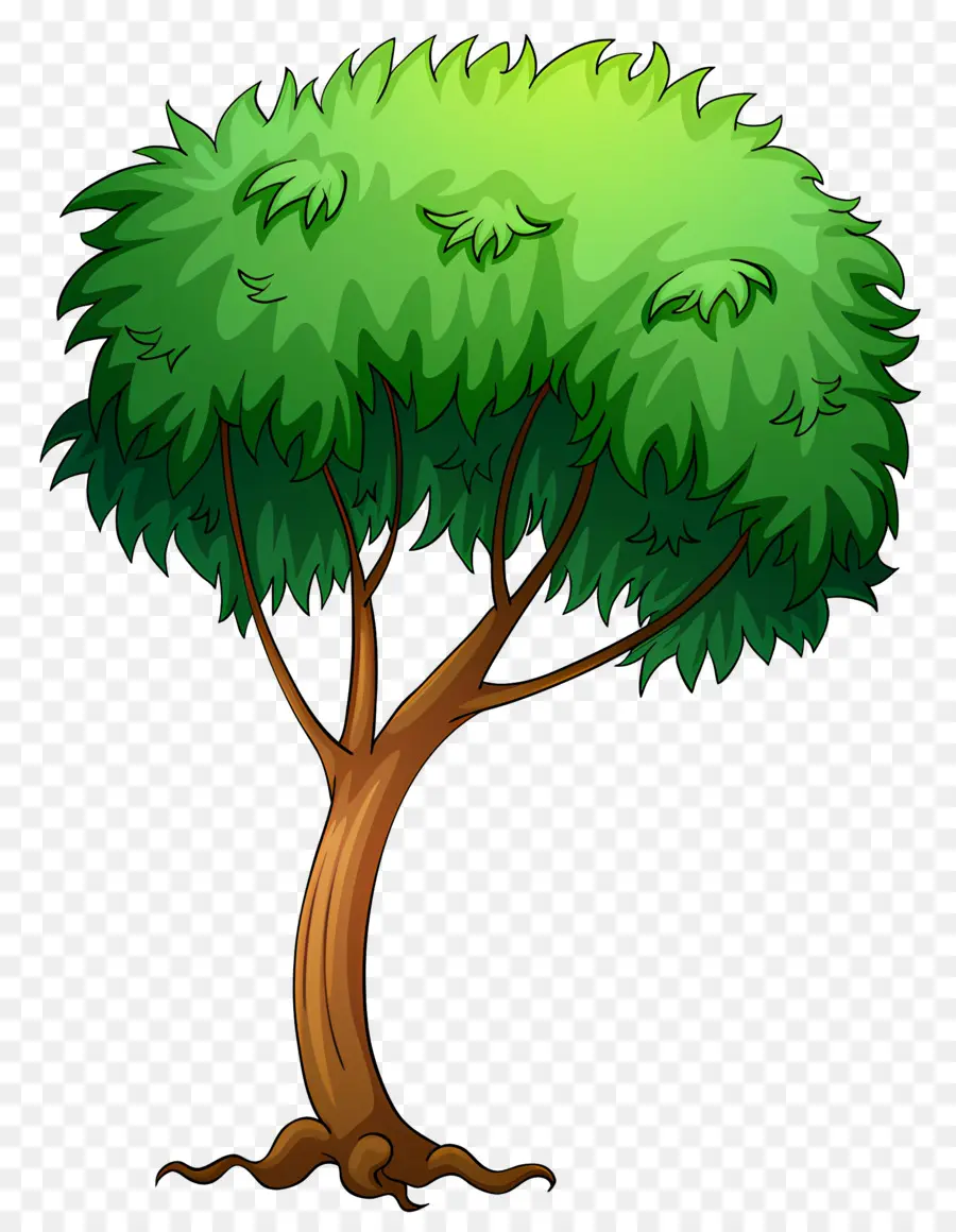 Folha，árvore Verde PNG