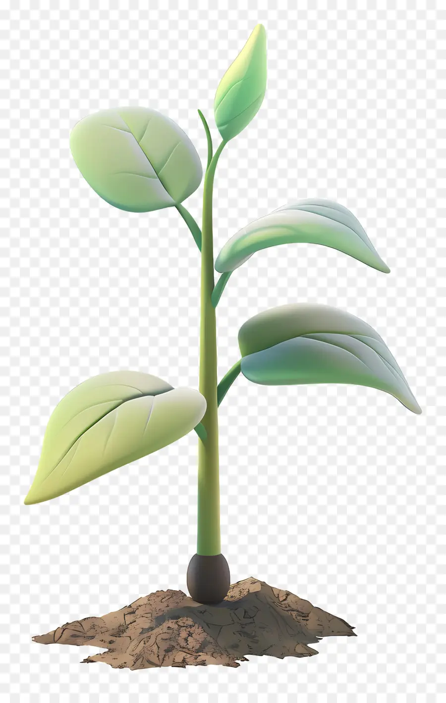 Mudas，Planta PNG