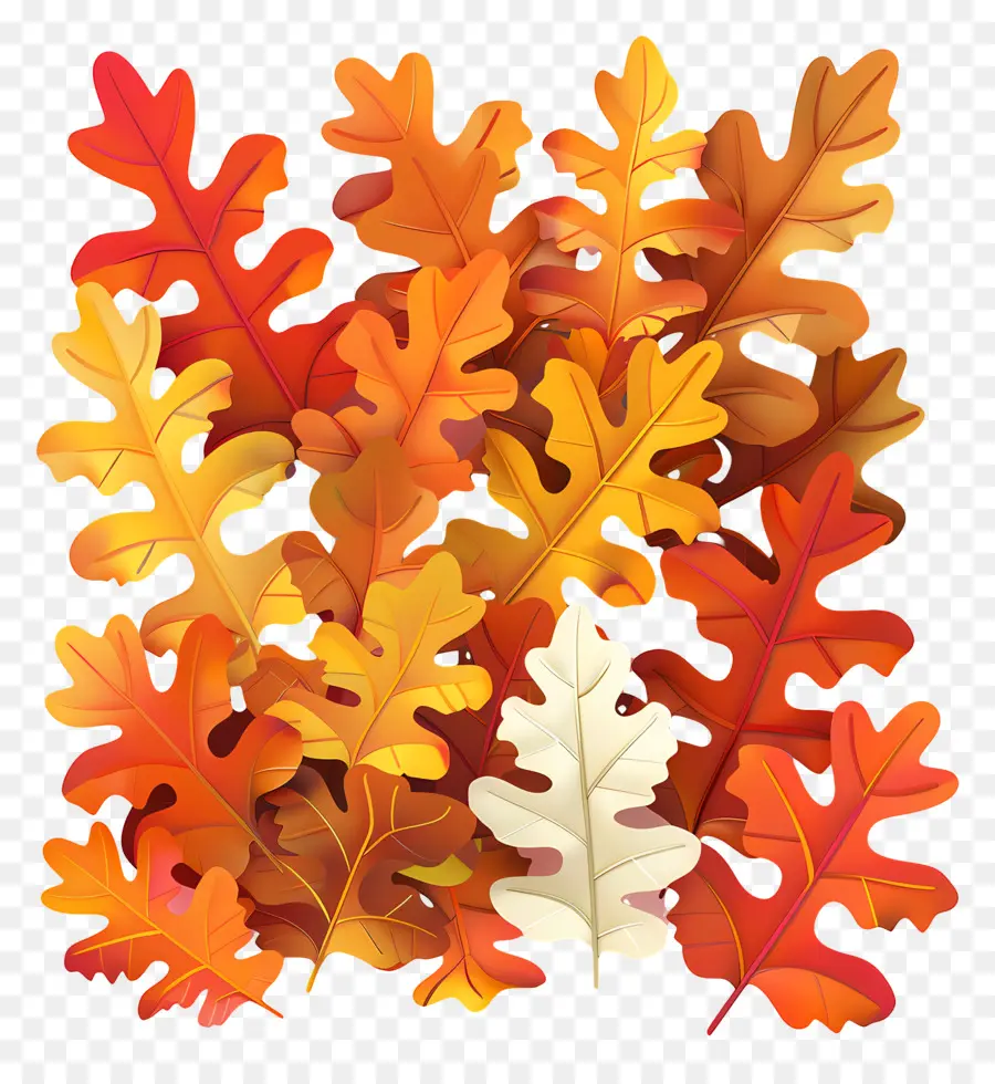 Autumn Leaves，Folhas De Carvalho PNG