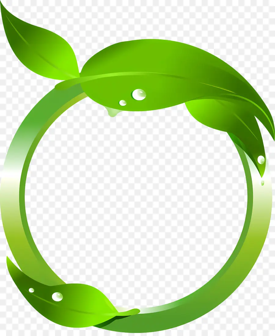 Folha，Green Circle PNG