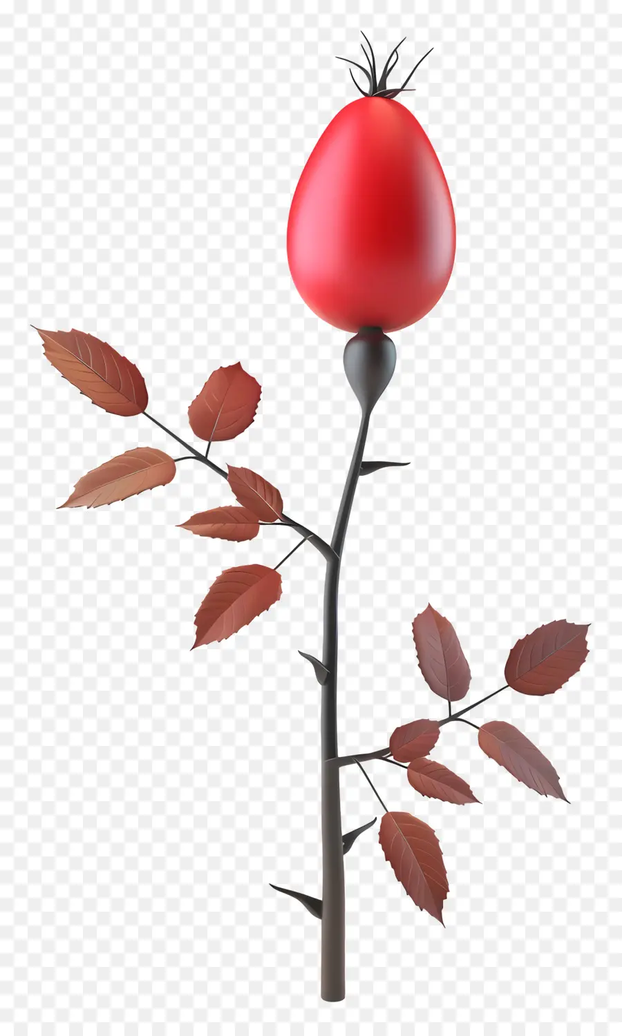 Rosa Mosqueta，Rosa Vermelha PNG
