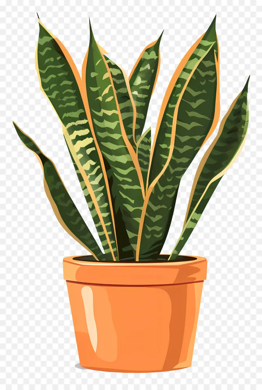 Planta Sansevieria，Planta Cobra PNG