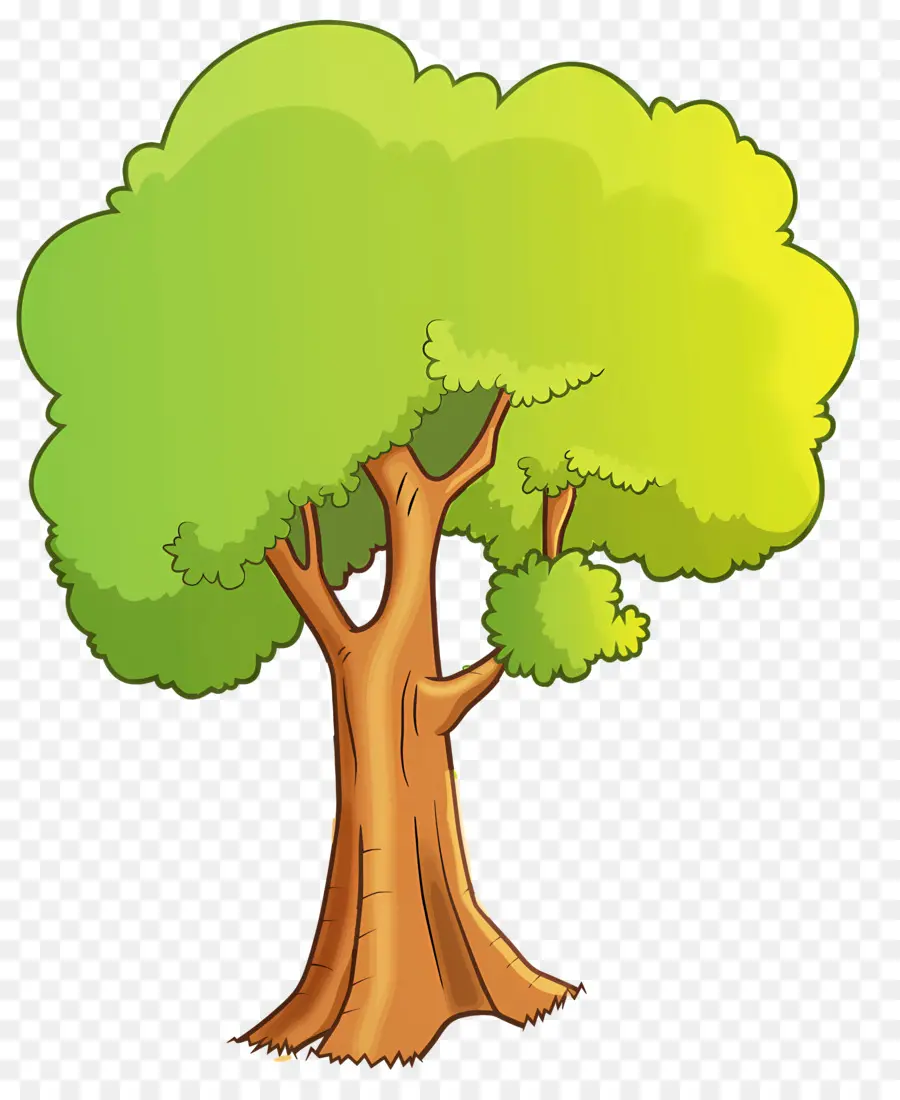 árvore，Ramos PNG