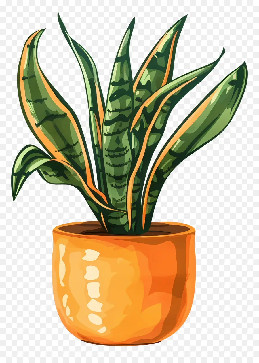 Planta Sansevieria，Planta Cobra PNG