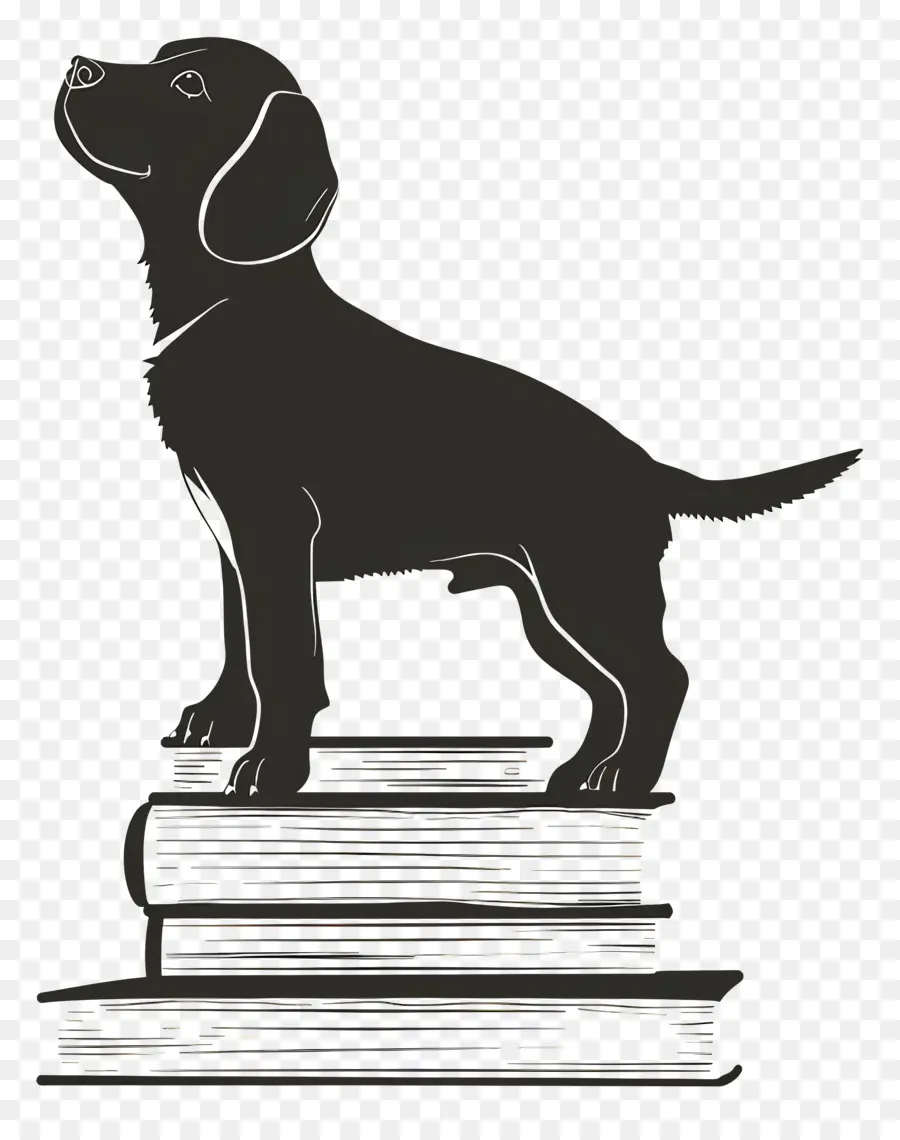 Cão Silhueta，Cachorro PNG