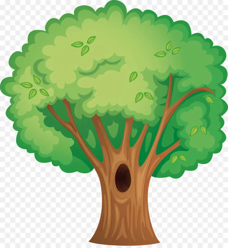 árvore，Dossel Arborizado PNG